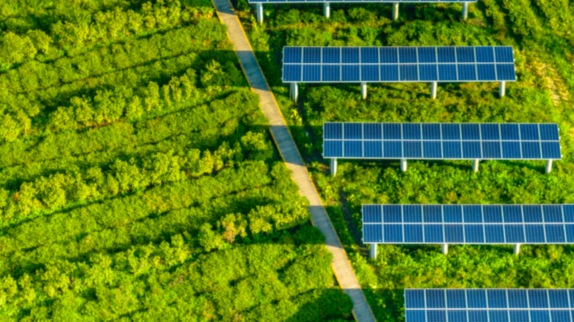 污染土地的新生