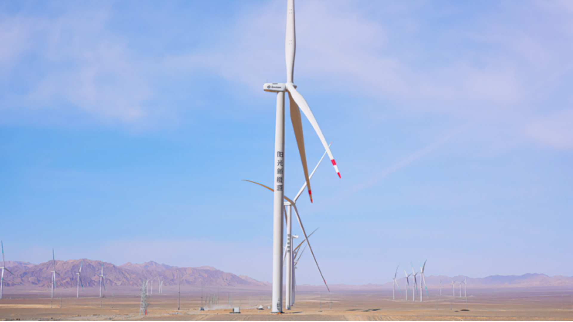 西北的风，点亮中原的灯