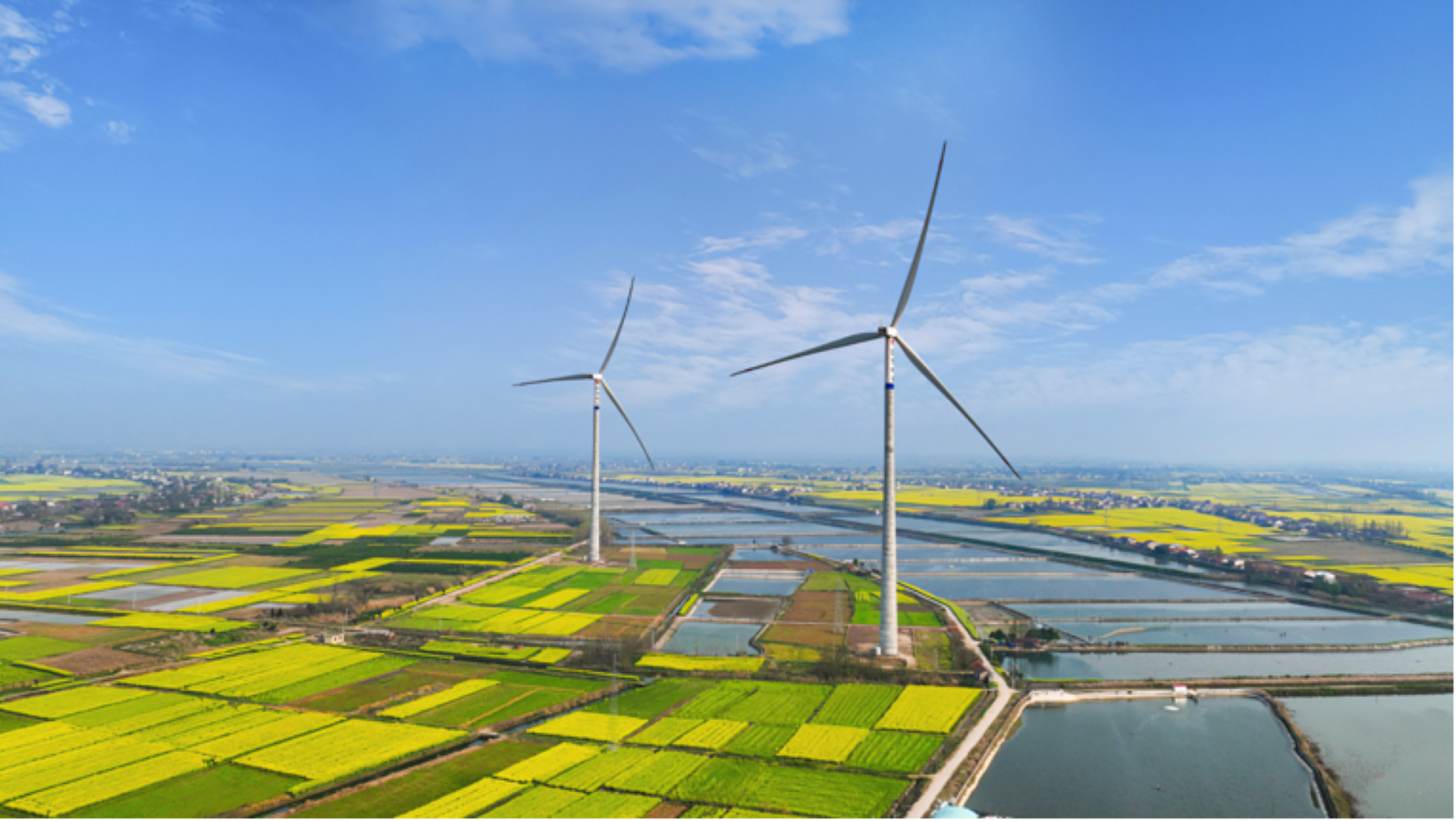 风起潇湘满地黄