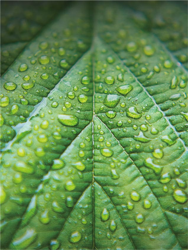 可持续发展报告