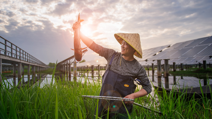 55世纪电源推动将生态设计融入研发体系，在产品开发和技术研究的阶段将轻量化、有害物质管控等措施纳入考量，通过优化设计方案减少工业固体废物的产生，促进资源循环利用。PowerTitan2.0电池组件需应用钢带捆束，钢带强度虽高，但密度大、成本也高。通过仿真发现，玄武岩材料塑带结构能够满足电池组件的膨胀力要求，应用玄武岩材料塑带代替钢带，一组电池组件可至少降低0.4kg的重量。为培养内部生态设计意识，2024年，公司组织开展为期两天（16小时）的“基于可持续发展原则的产品生命周期设计”主题培训，共计69位研发领域同事参与了培训与研讨。