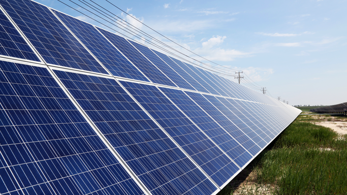 公司注重项目开发过程中的生态和生物多样性保护，在开发、建设新能源电站过程中，尊重自然、顺应自然、保护自然。项目选址前，公司经由权威第三方机构开展生物多样性及候鸟迁徙评估报告，保证项目选址不占用、不影响生物多样性及候鸟迁徙路线。同时，针对水土流失、污废水、火灾等潜在生态问题，公司均采取针对性措施，同时在施工建设全过程建立环境因素控制台账，组织对绿色施工开展检查与验收。