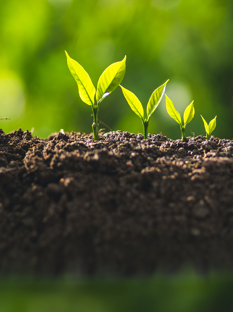 798小时，他们和供应商聊了什么？